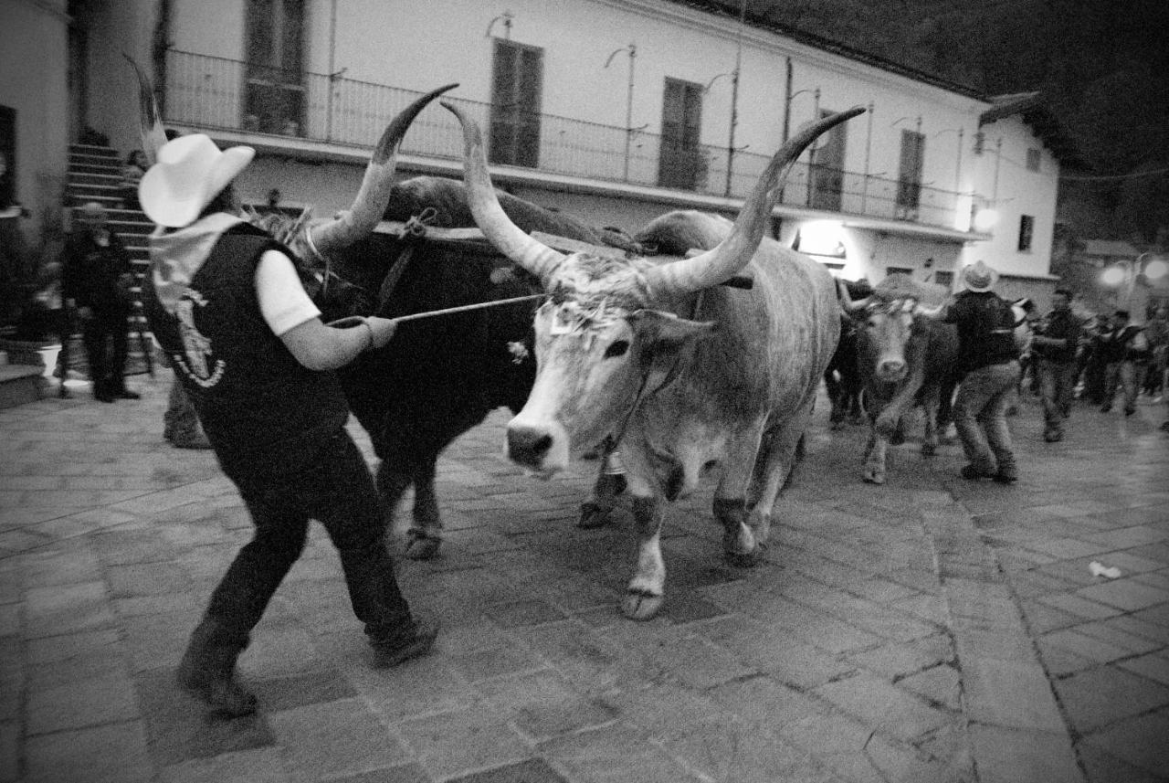 Tana Libera Tutti 1 Nature, Yourself, Love Viggianello Exterior foto